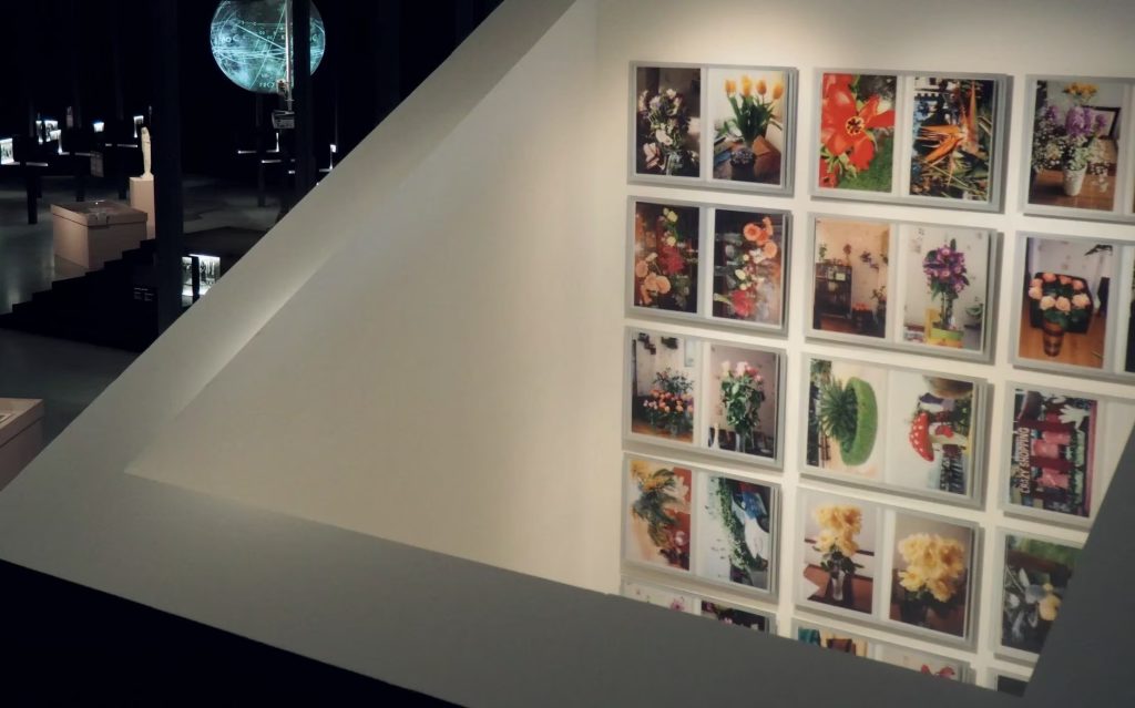 D. Tamane, The Flower Smuggler, 2016–2019. Photo: A. Mikuckytė-Mateikienė.